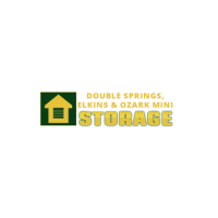 Double Springs Storage Logo