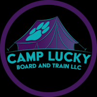 Camp Lucky Board and Train (San Antonio TX) Logo