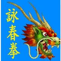Dragon Martial Arts Logo
