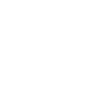 Ace Handyman Services Boise Logo