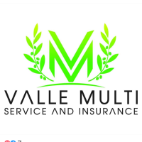 Valle Multi Service and Insurance LLC Logo