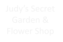 Judy's Secret Garden & Flower Shop