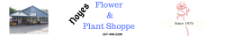 Noyes Florist & Greenhouse