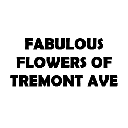 Fabulous Flowers of Tremont Avenue