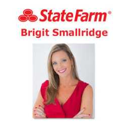 Brigit Smallridge - State Farm Agent