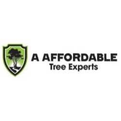 AFFORDABLE Tree Service Bronx, NYC