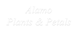 Alamo Plants & Petals
