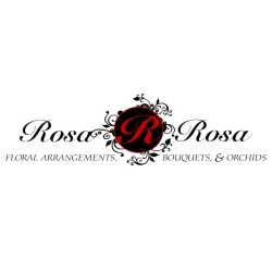 Rosa Rosa Flowers