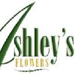 ðŸ’Ashley's Flowers - Detroit, MI Florist
