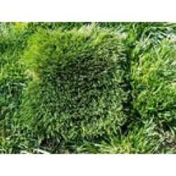 Artificial Grass NorCal