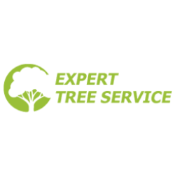 Expert Tree Services
