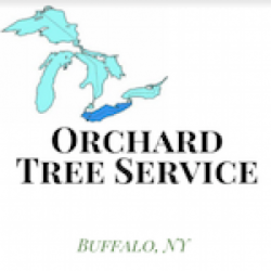 Orchard Tree Service