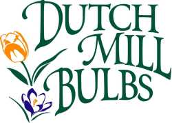 Dutch Mill Bulb Inc