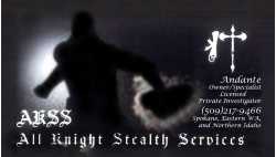 All Knight Stealth Services