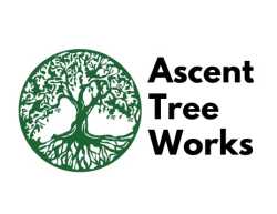 Ascent Tree Works