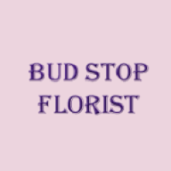 Bud Stop Florist