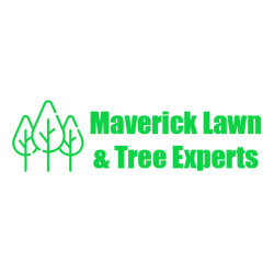 Maverick Lawn & Tree Experts