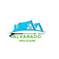 Alvarado Pro-Clean Logo