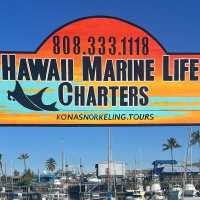 Hawaii Marine Life Charters Logo