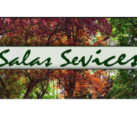 Salas Services Logo