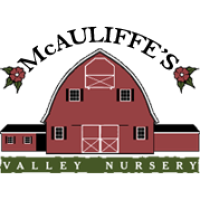 McAuliffe's Valley Nursery Logo