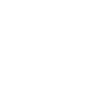 Debbie's Flowers & Gifts Logo