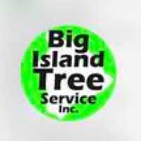 Big Island Tree Service Inc Logo