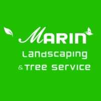 Marin Landscaping and Tree Service Logo