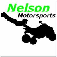 Nelson Motorsports Logo