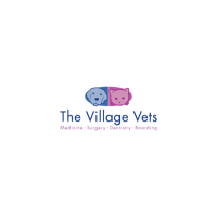 The Village Vets Westside Logo