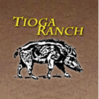 Tioga Boar Hunting Logo