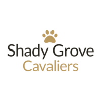 Shady Grove Cavaliers Logo