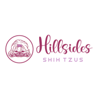 Hillsides ShihTzu Logo