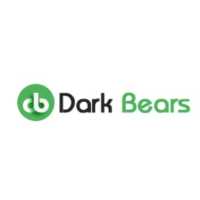 Dark bears web Solutions Logo