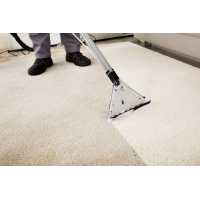 Pristine Carpet Cleaning & Home Services LLC Logo