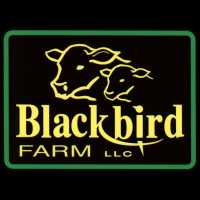 Blackbird Farm - Rhode Island Raised Beef, Pork and Chicken Logo