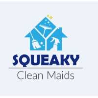 Squeaky Clean Maids of King Of Prussia Logo