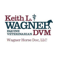 Wagner Horse Doc LLC Logo