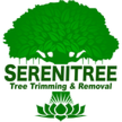 Serenitree LLC