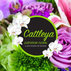 Cattleya European Floral