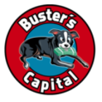 Busters Capital, LLC Logo