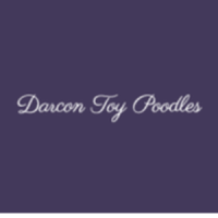 Darcon Toy Poodles Logo