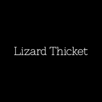 Lizard Thicket Boutique Logo