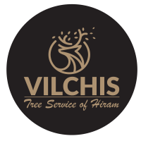 All In Tree Service of Hiram Logo