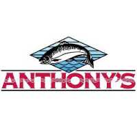 Anthony's Hearthfire Grill Olympia Logo