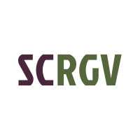 Steam Cleaning R.G.V. Logo
