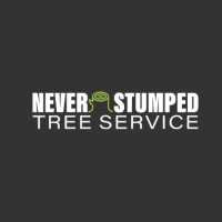 Never Stumped Tree Service Logo