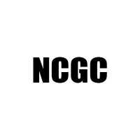 Newport Concrete & General Contracting Logo