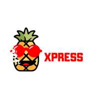Pineapple Xpress Smoke Shop and Vape - Katy Fry Rd. Logo