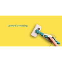Layzboi Cleaning Logo